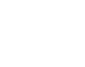 maasmechelen logo wit